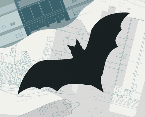bat survey